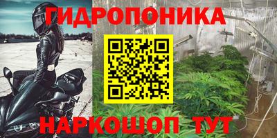 тгк Заволжье