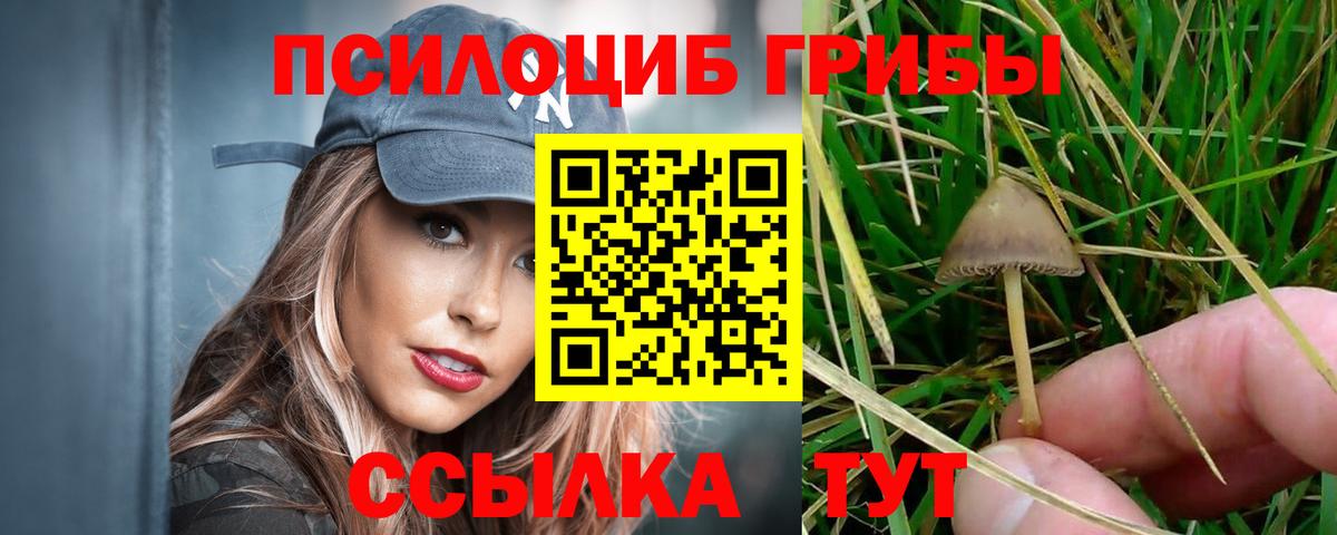 Нерюнгри  Галлюциногенные грибы мицелий  Вход с VPN  Галлюциногенные грибы Psilocybine cubensis 