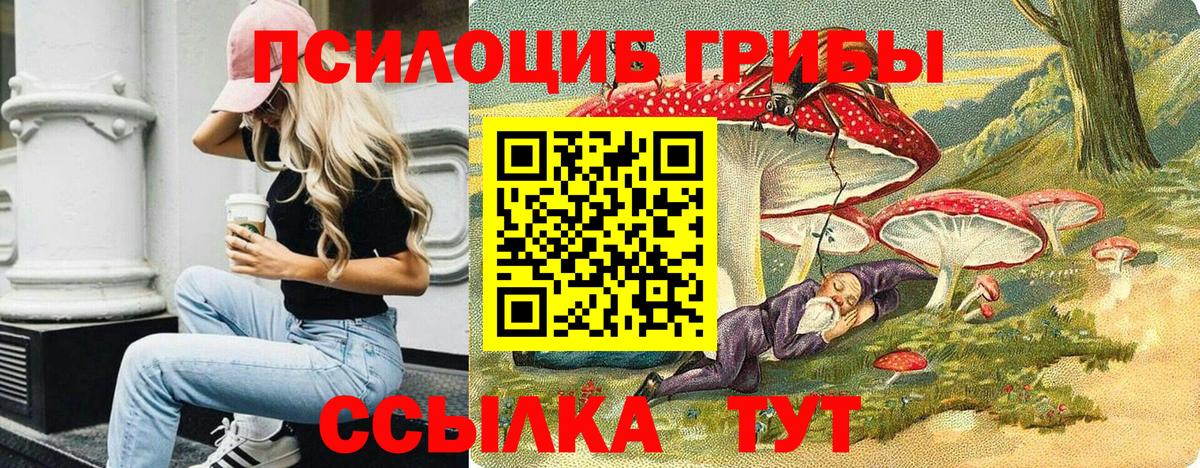 Псилоцибиновые грибы мухоморы Нерюнгри